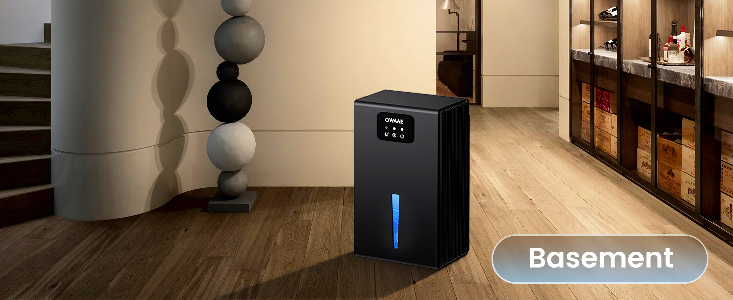 dehumidifier for basement