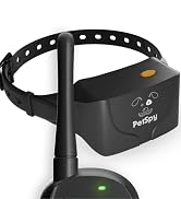 dog training collar