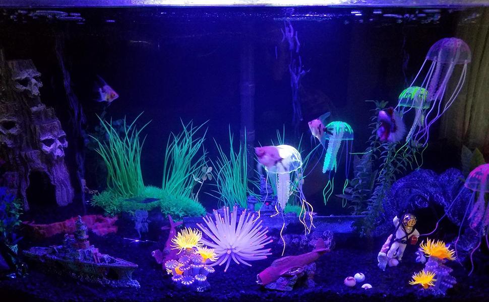 Fish tank lights