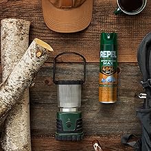 repel insect repellent mosquito solution aerosol spray fleas chiggers flies outdoor hiking camping