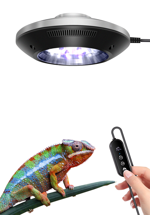 UVB lamp