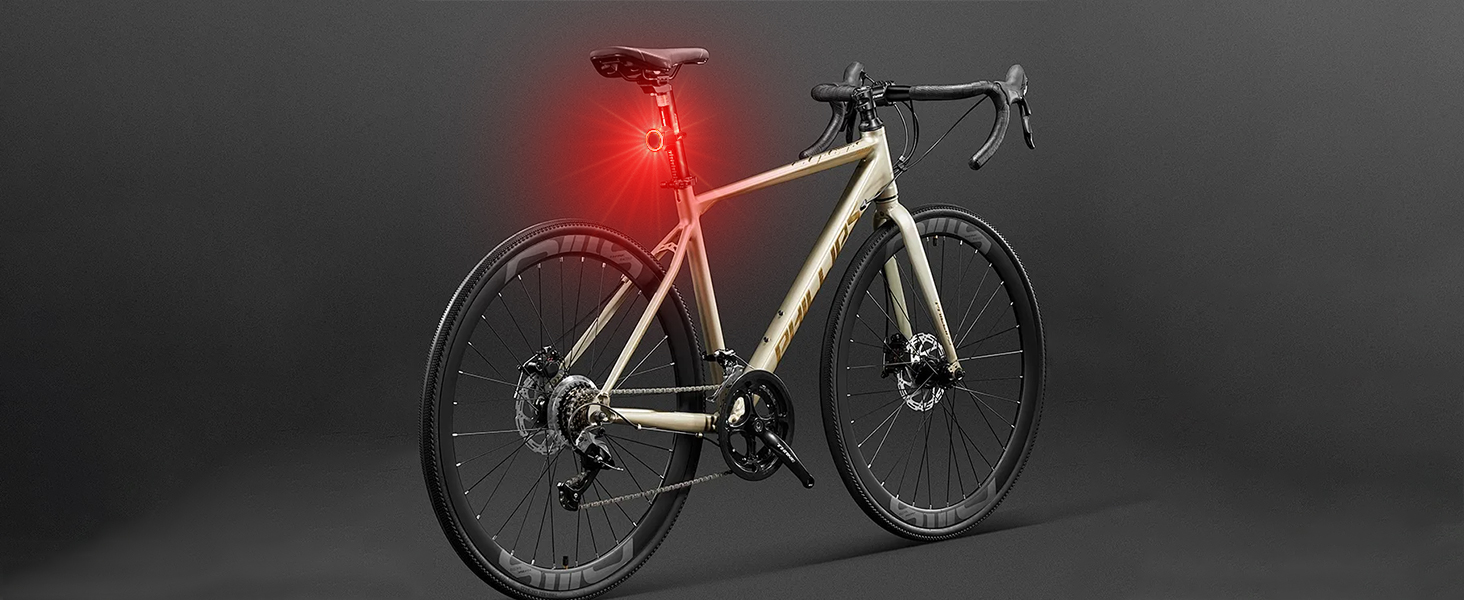 Bike Alarm with Bicycle Tail Light