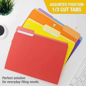 1/3 Cut Letter Size Color File Folder