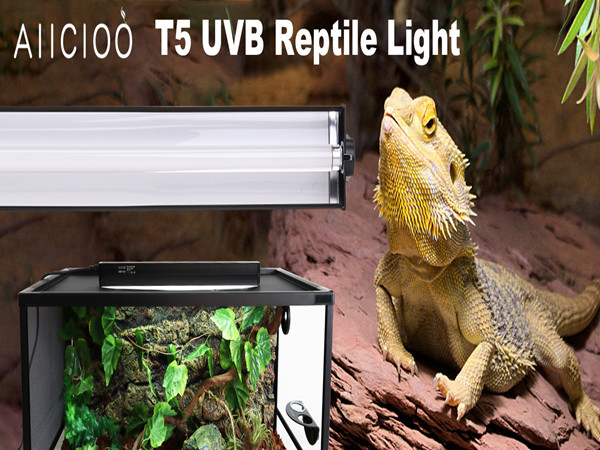 10 gallon tank lid