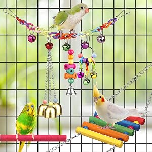 pattot toys