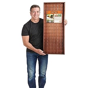 aplus content image