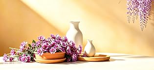 https://m.media-amazon.com/images/S/aplus-media-library-service-media/a8eb5dc1-c4f7-4389-84de-8b38d55a0e20.__CR170,216,2422,1115_PT0_SX315_V1___.png