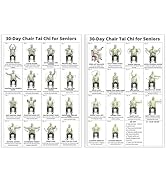 Daily Partner Tai Chi Chair Workout Chart for Seniors, Printable Wall Exercise Chart, 30-Day Seat...