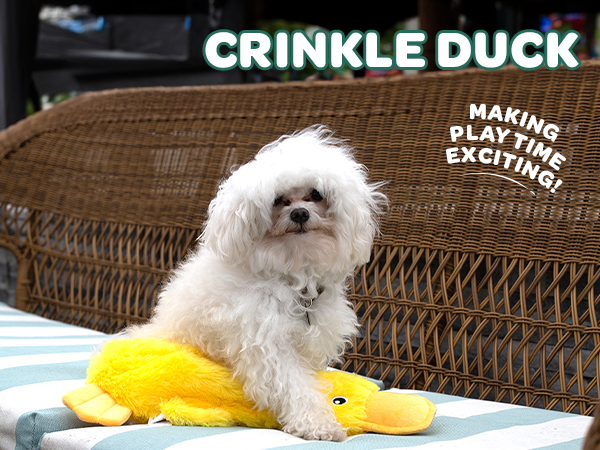 Stuffing free dog toy