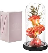 oridom Preserved Flower Gift, Light Up Rose in Glass Dome, Eternal Forever Rose Flower Gifts for ...