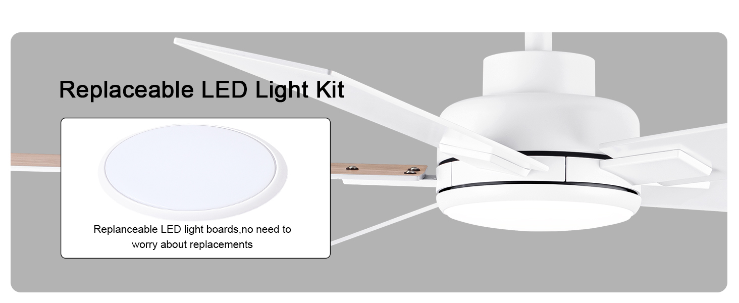 Replaceable LED Light Kit