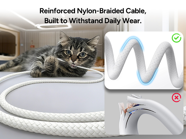 air purifiers for home pets