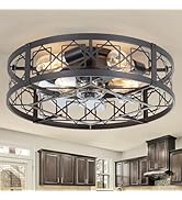 ZYD Caged Ceiling Fan with Light, 20" Ceiling Fan with Lights and Remote Flush Mount, Bladeless C...