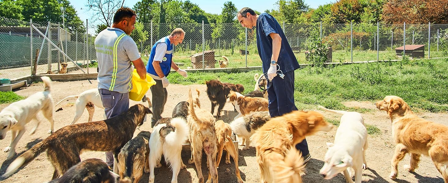 atifbop dog rescue