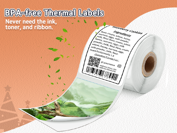 phomemo labels