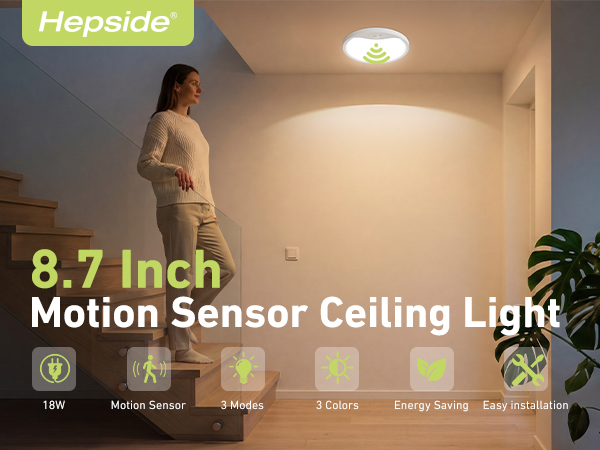 Motion Sensor Ceiling Light