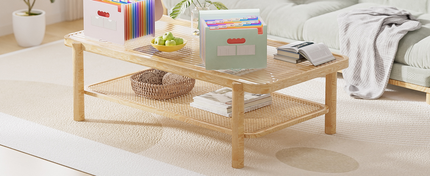 Accordion File Organizer, 12 - Pocket Expanding File Folders