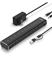 RSHTECH 10 Ports Powered USB C 3.2 Hub 10Gbps, RSH-H10C | Aluminum USB Hub Splitter with 60W (12V...