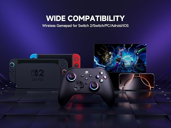 switch controller