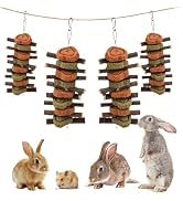 MUYG Rabbit Chew Toy,Bunny Chew Toys for Teeth Grinding,Natural Apple Branch Teething Sticks with...