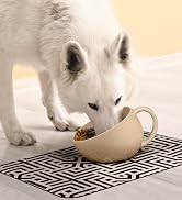 Dog Bowls For Large Dogs Dog Bowl Dog Water Bowl Dog Food Bowls Products Puppy Supplies Pet Cat Cup