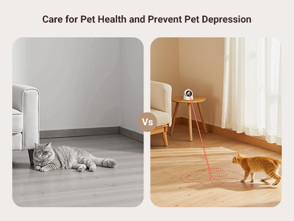 Laser Cat Toys