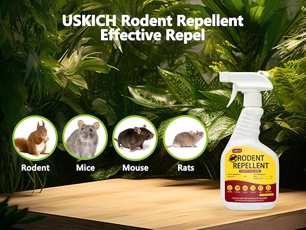 USKICH