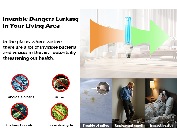 Purifies and refreshes the air naturally, without the use of chemical substances