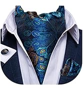 DiBanGu 3PCS Ascot Ties for Men Wedding Jacquard Woven Silk Ascot Cravat for Men Cravat Tie and P...