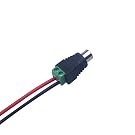 RCA adapter for speaker wire