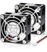 AmRunJe 60mm 24V Small Cooling Fan 2pin DC Brushless for Computer Router Battery DVR 2PCS