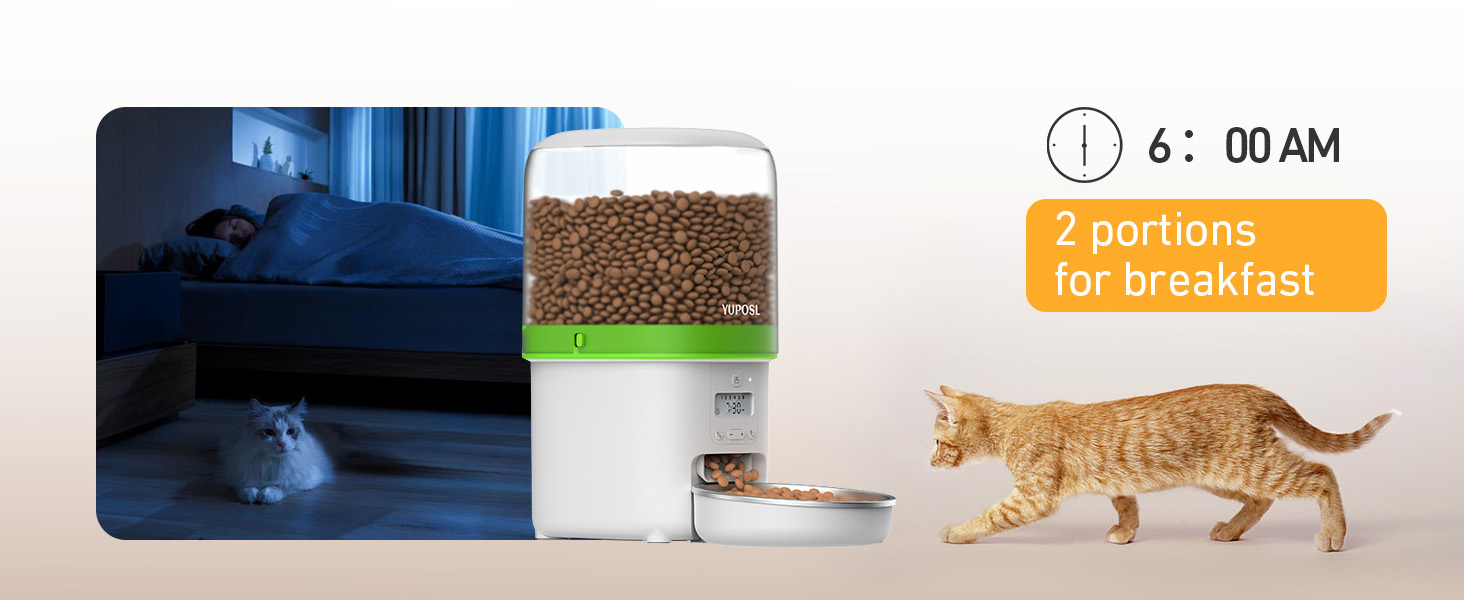 automatic cat feeder automatic cat food dispenser