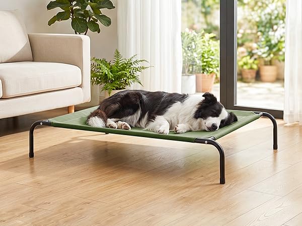 outdoor dog bed