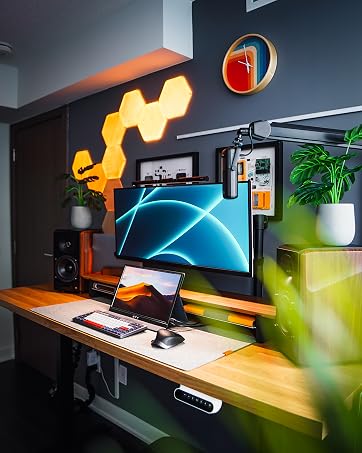 portable monitor