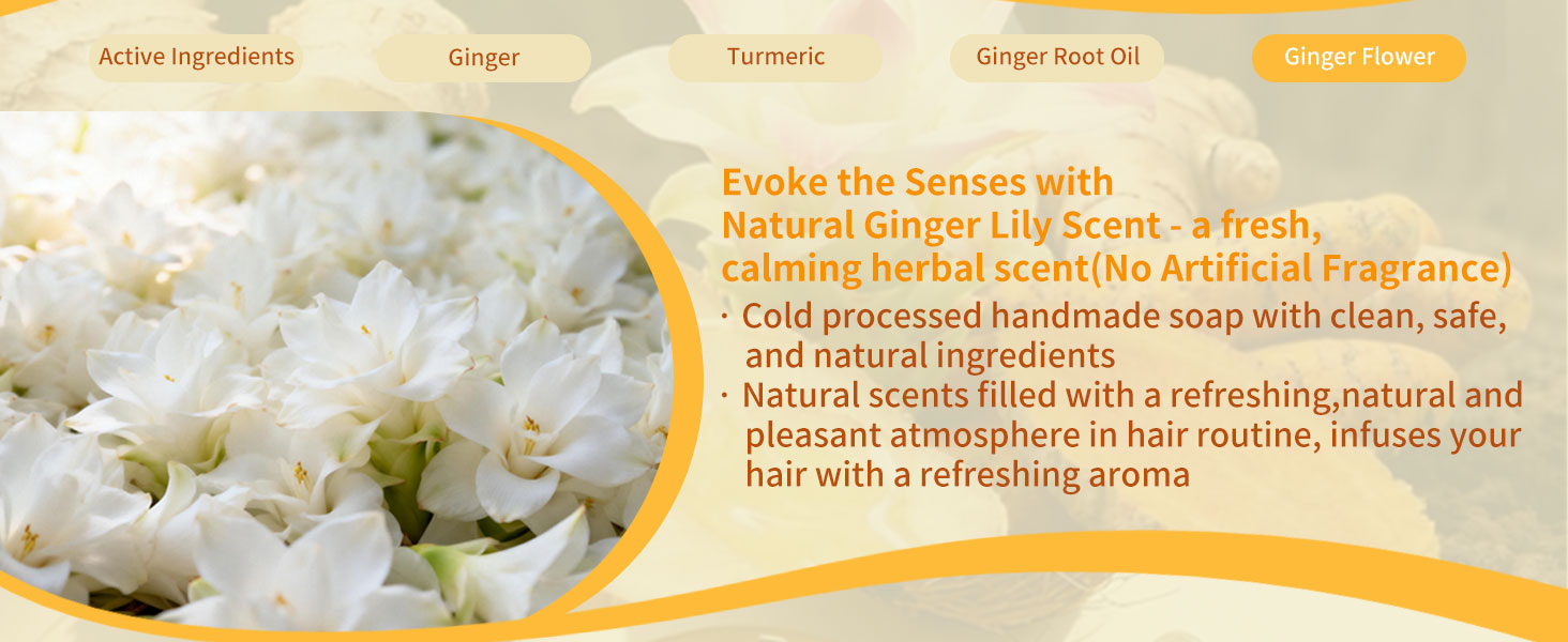 hair growth shampoo bar ginger native shampoo herbal essences shampoo travel shampoo for oily hair