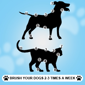 pet grooming brush