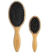 BESTOOL Hair Brush (Regular & Small), Boar Bristle Hair Brushes for Women Men Kids Thick Fine Cur...