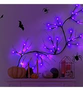 Halloween Garland Decoration with 24 Spider Lights Halloween Purple Spider Light 6.5FT 48LED Batt...