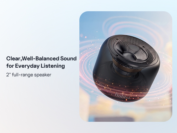 Bluetooth Speaker