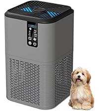 https://m.media-amazon.com/images/I/41wwKMwCJfL.__AC_SR200,225___.jpg