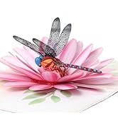 Pop Up Mothers Day Card, Dragonfly and Gerbera Daisies Flower 3d Birthday Card for Women, Happy B...