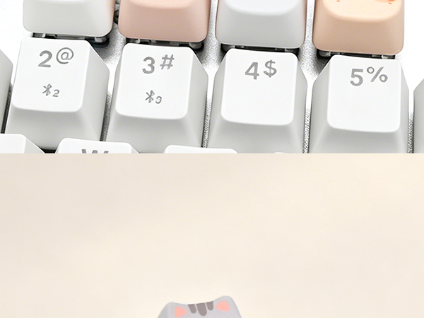 keyboard keycap