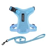 Voyager Step-in Lock Adjustable Cat Harness w. Cat Leash Combo Set with Neoprene Handle 5ft - Sup...