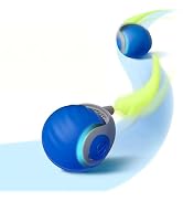 Petgravity Speedy Sprint Cat Toy Ball, 2026 Upgraded Interactive Cat Toys for Indoor Cats Exercis...