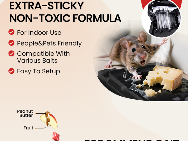 Wowcatch Mouse Glue Traps