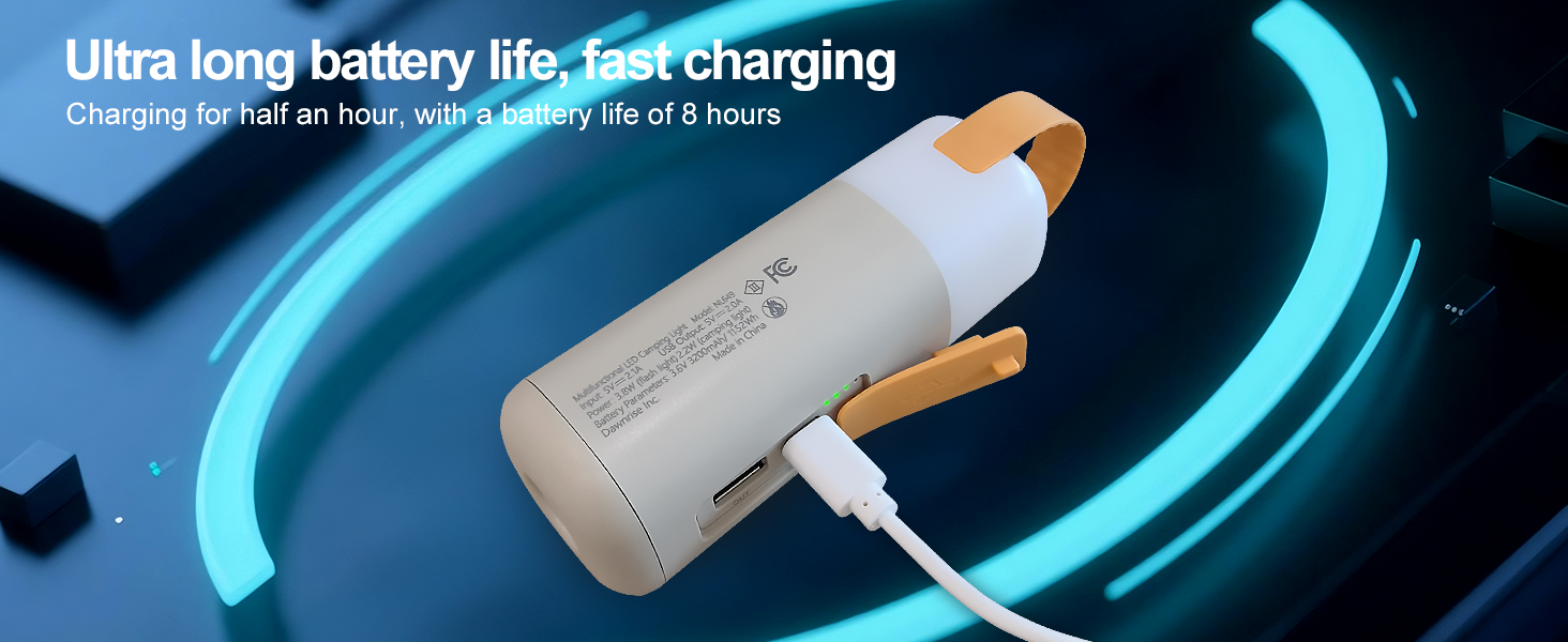 Rechargeable
