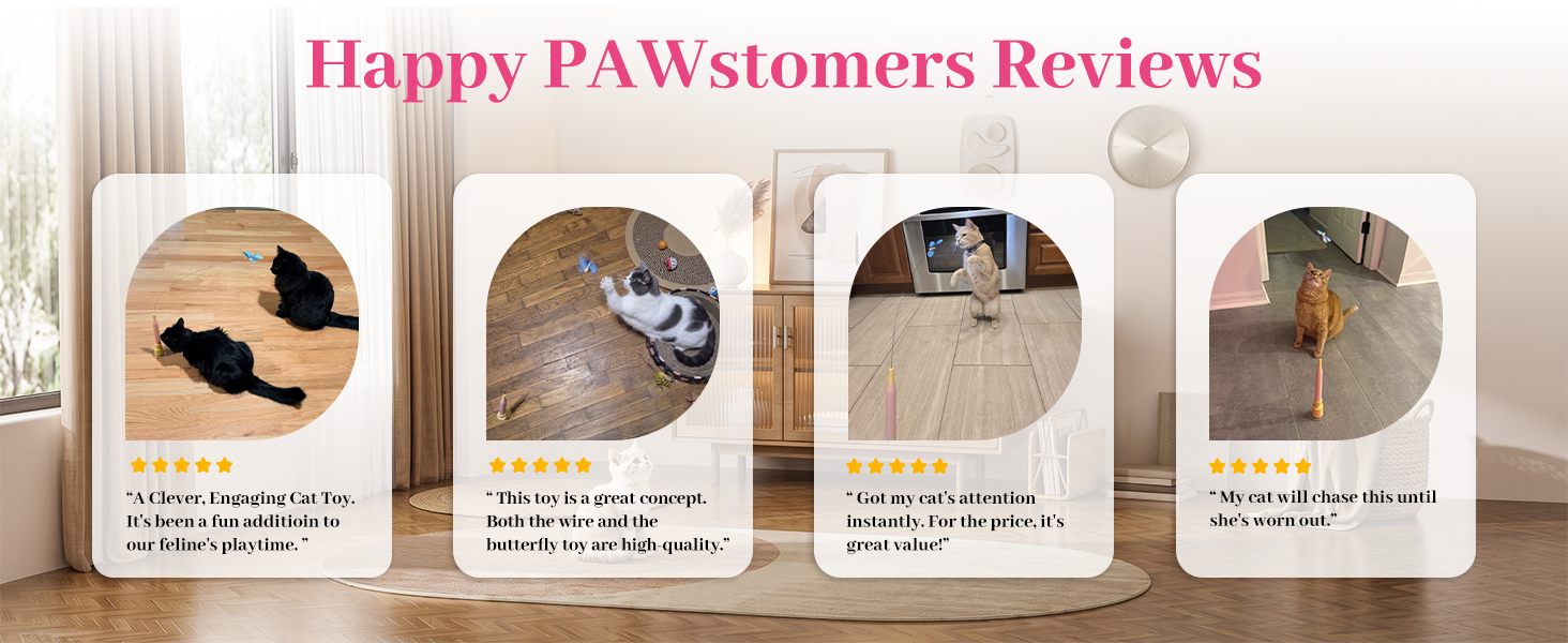 Pet owners share how their cats interact with this automatic cat wand toy.
