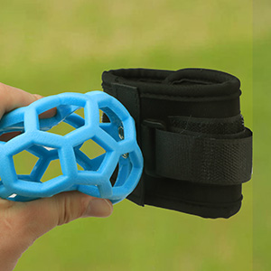 Golf Trainer Ball