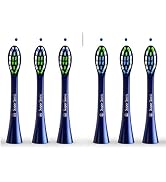 Replacement Toothbrush Brush Heads for Wagner & Stern and Wagner Switzerland toothbrushes. (Blue)