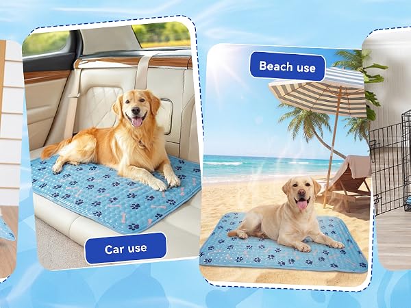 dog cooling bed